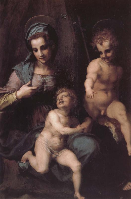 Andrea del Sarto Virgin Mary and Jeusu and John Sweden oil painting art